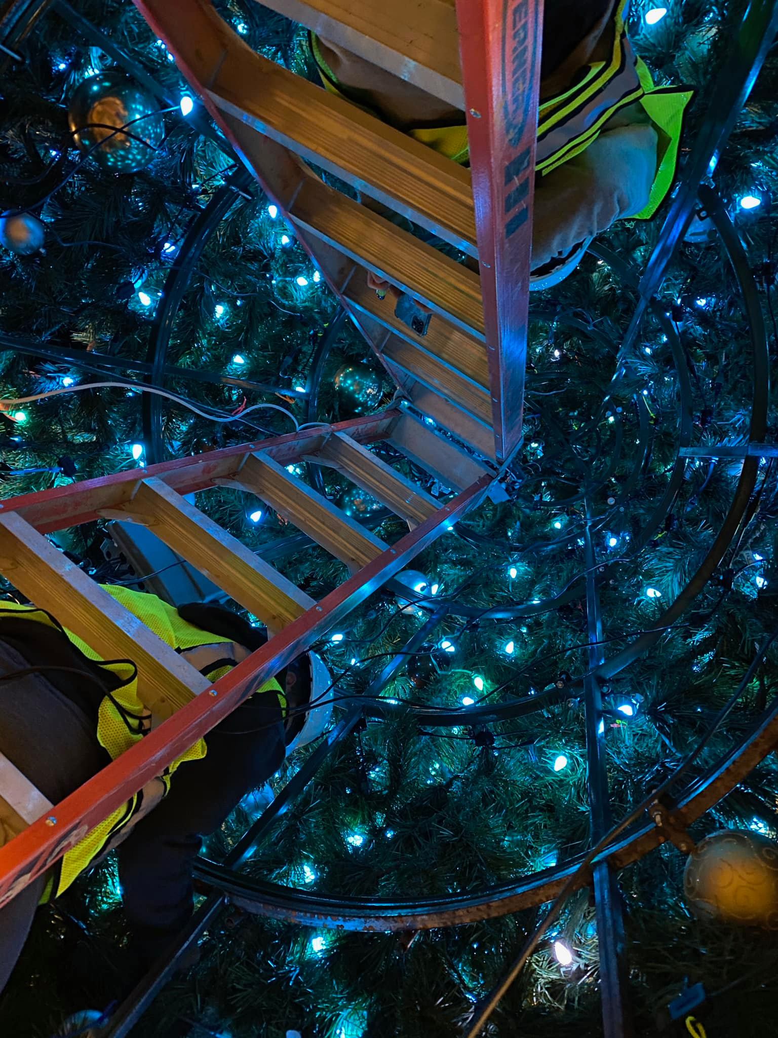 Commercial Christmas lighting installation, photo 82 of 114