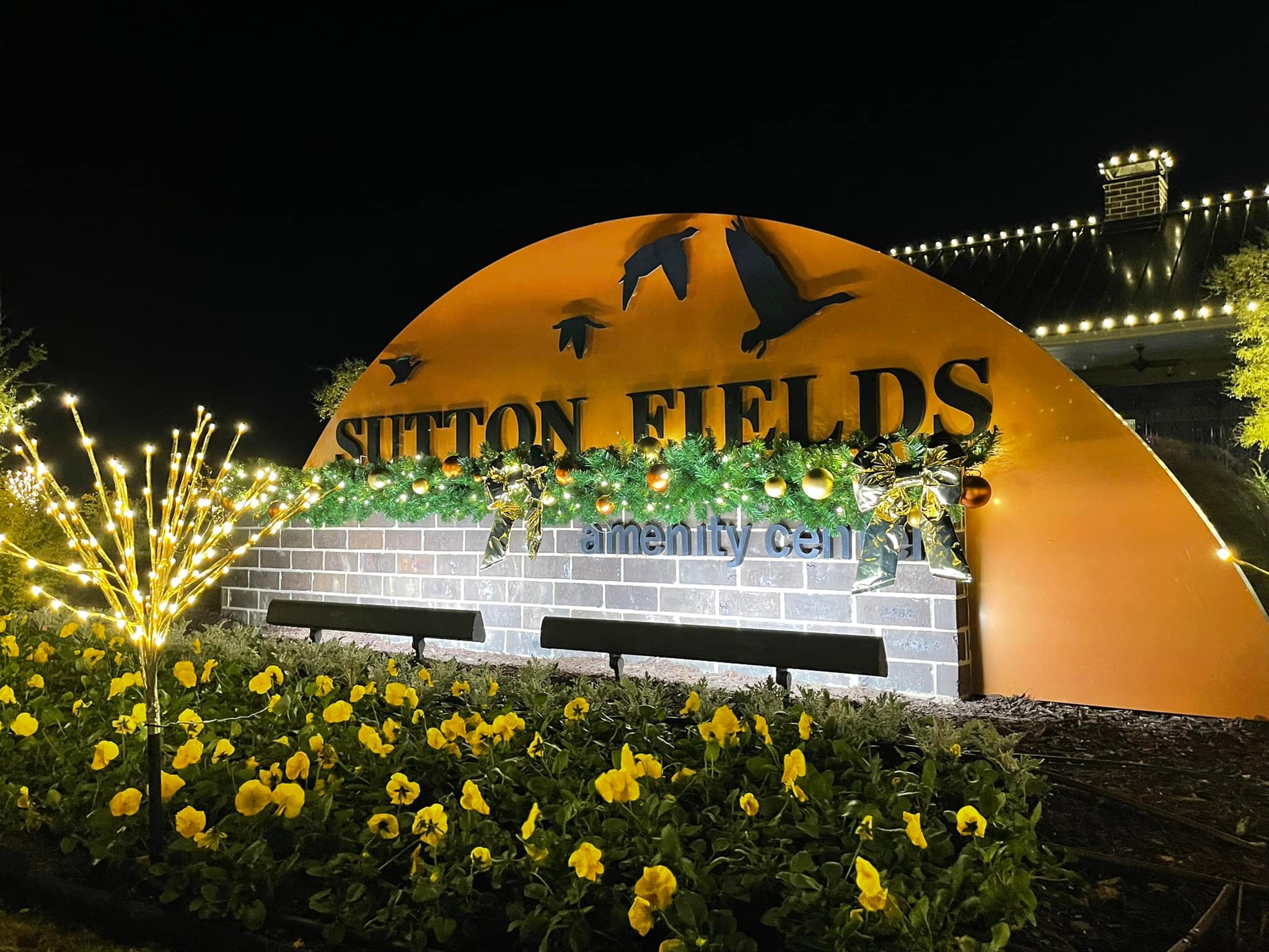 Commercial Christmas lighting installation, photo 16 of 114