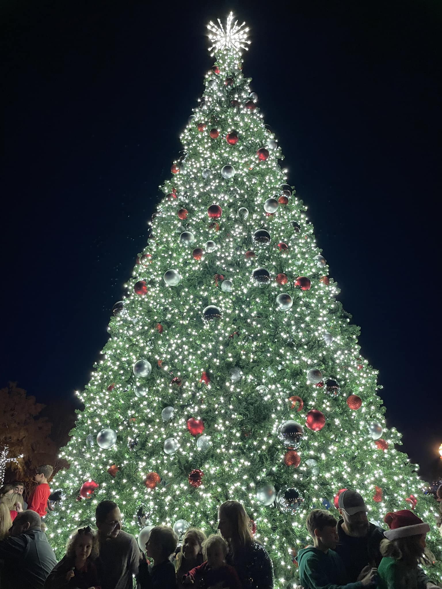 Commercial Christmas lighting installation, photo 25 of 114