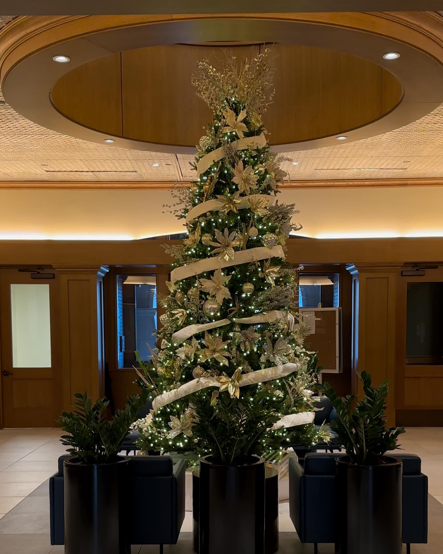 Commercial Christmas lighting installation, photo 36 of 114
