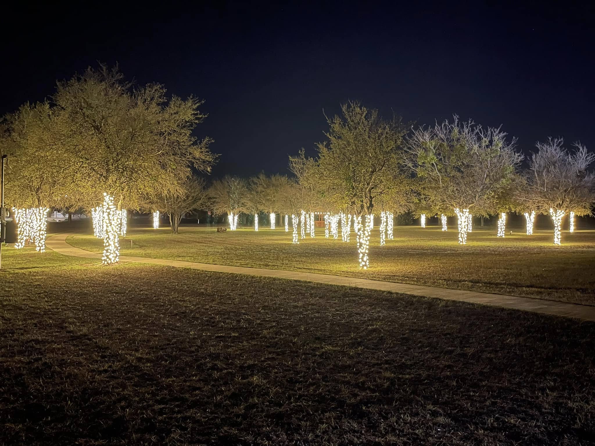 Commercial Christmas lighting installation, photo 37 of 114