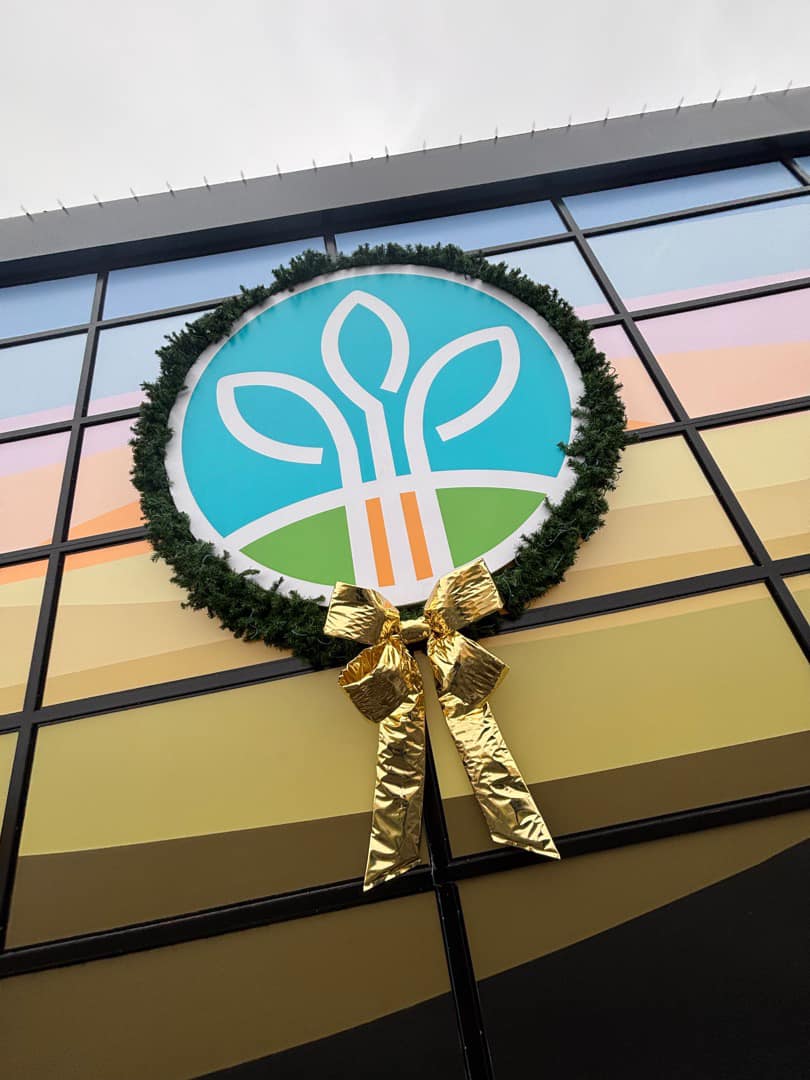 Commercial Christmas lighting installation, photo 43 of 114