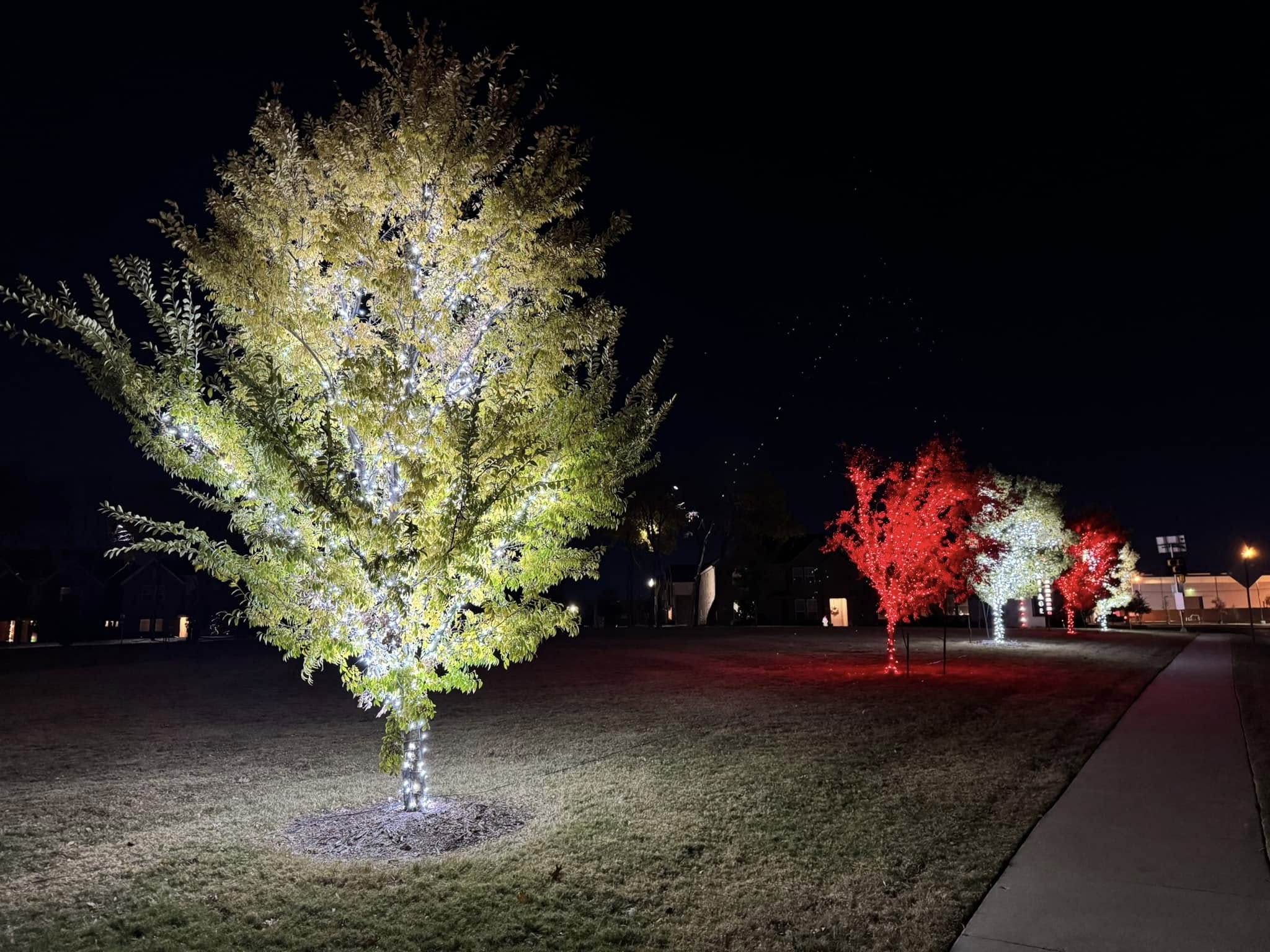 Commercial Christmas lighting installation, photo 55 of 114