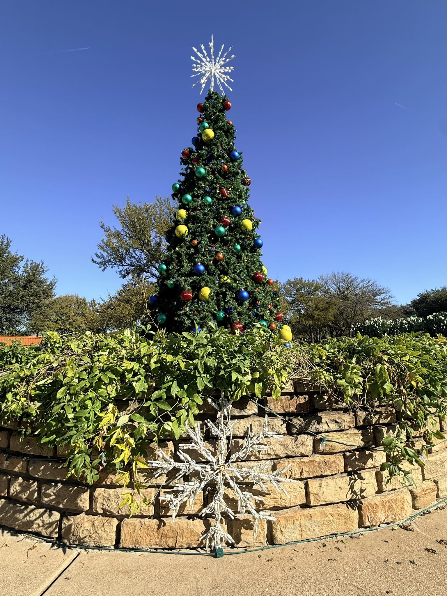 Commercial Christmas lighting installation, photo 66 of 114