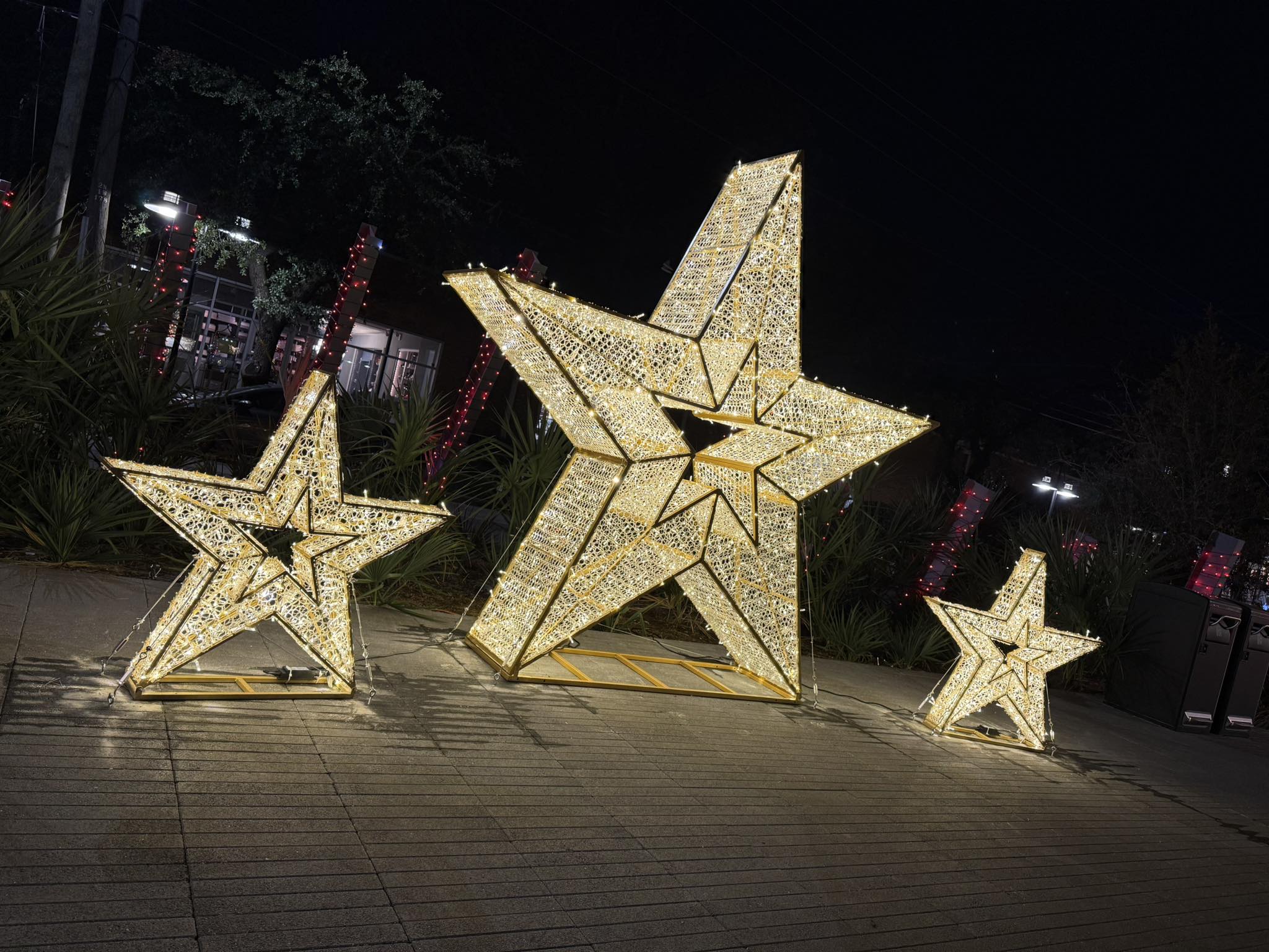 Commercial Christmas lighting installation, photo 67 of 114