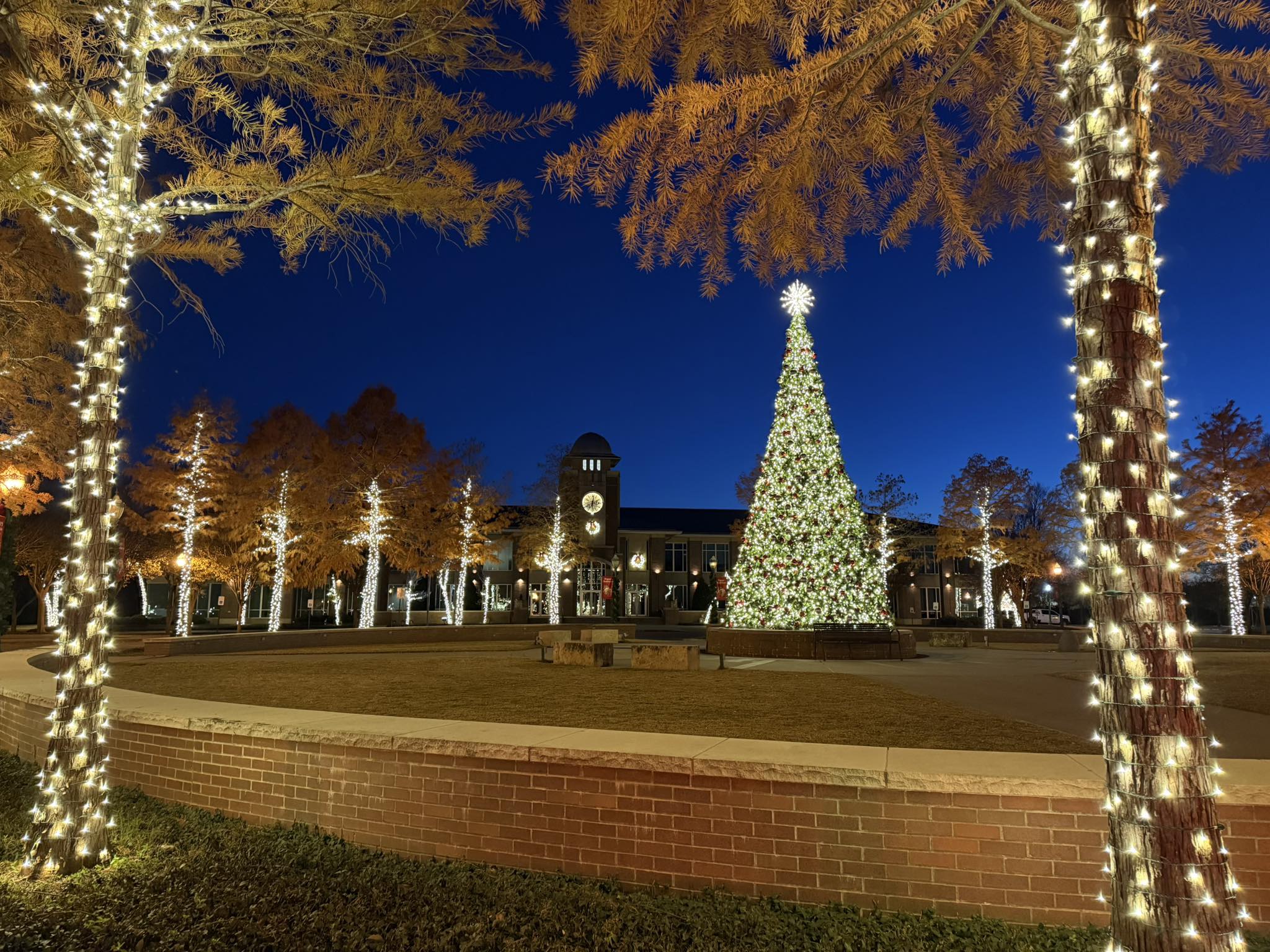 Commercial Christmas lighting installation, photo 73 of 114