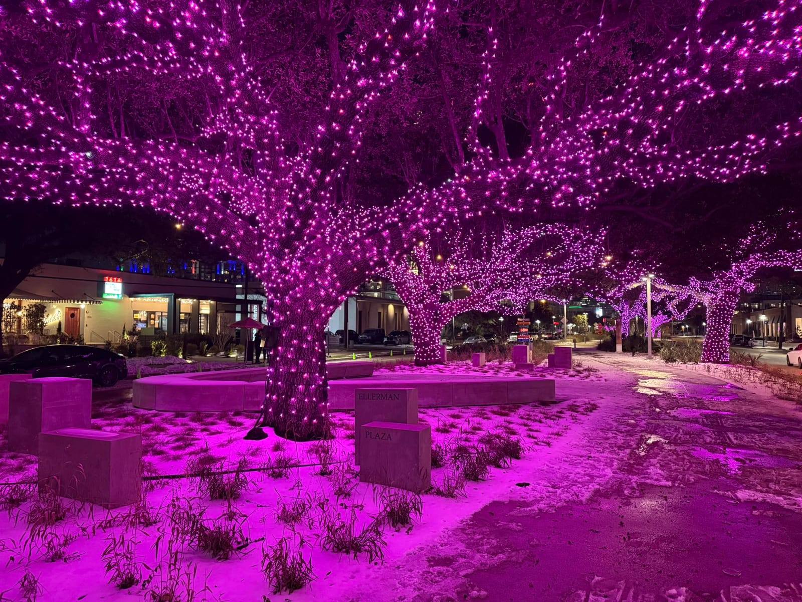 Commercial Christmas lighting installation, photo 76 of 114