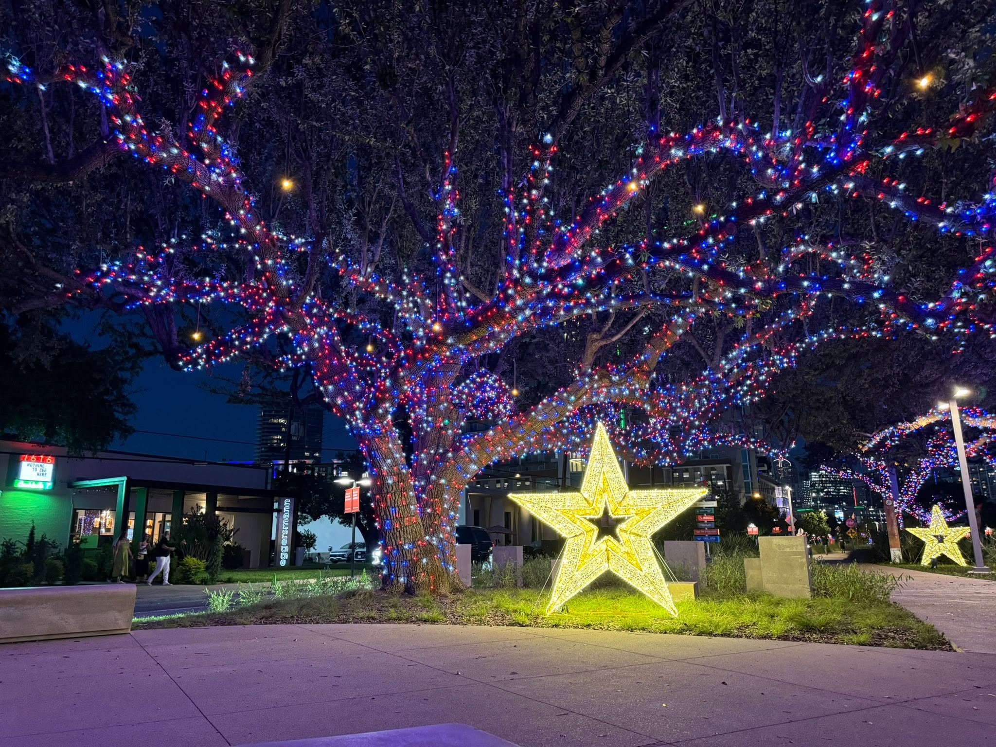 Commercial Christmas lighting installation, photo 111 of 114