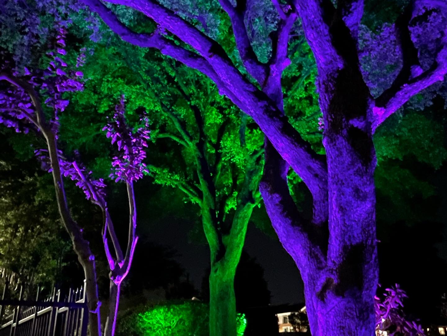 Landscape lighting installation, photo 109 of 114