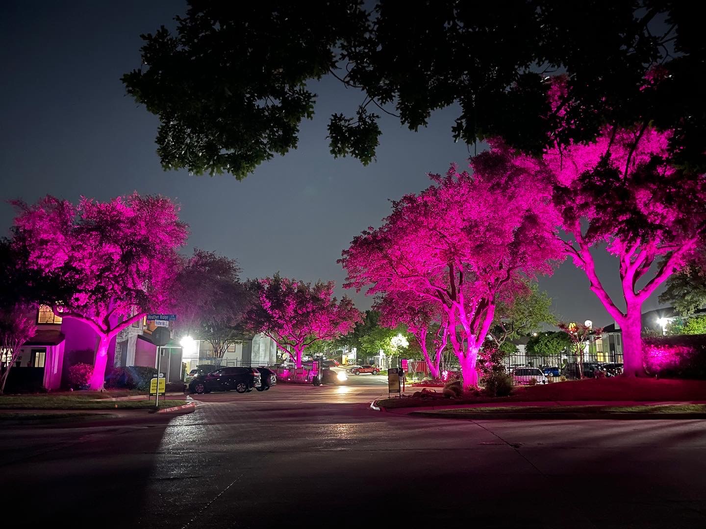 Landscape lighting installation, photo 52 of 114