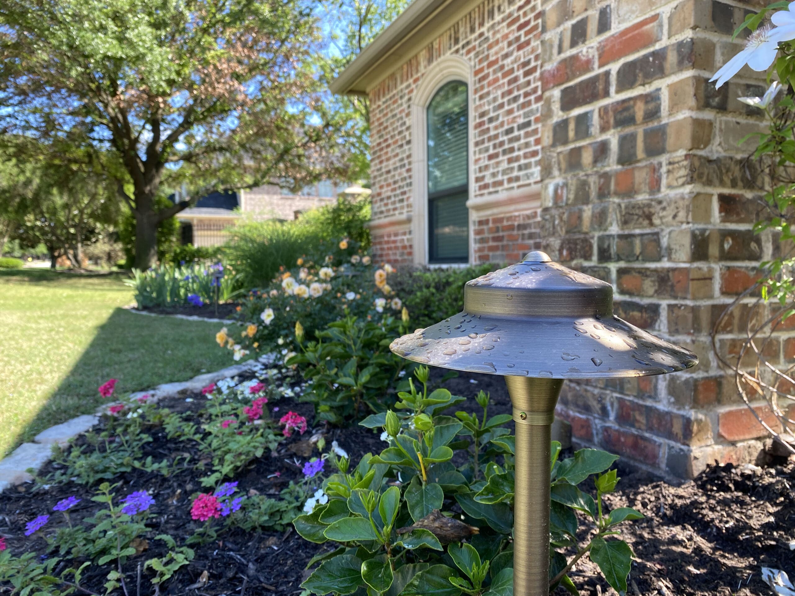 Landscape lighting installation, photo 69 of 114