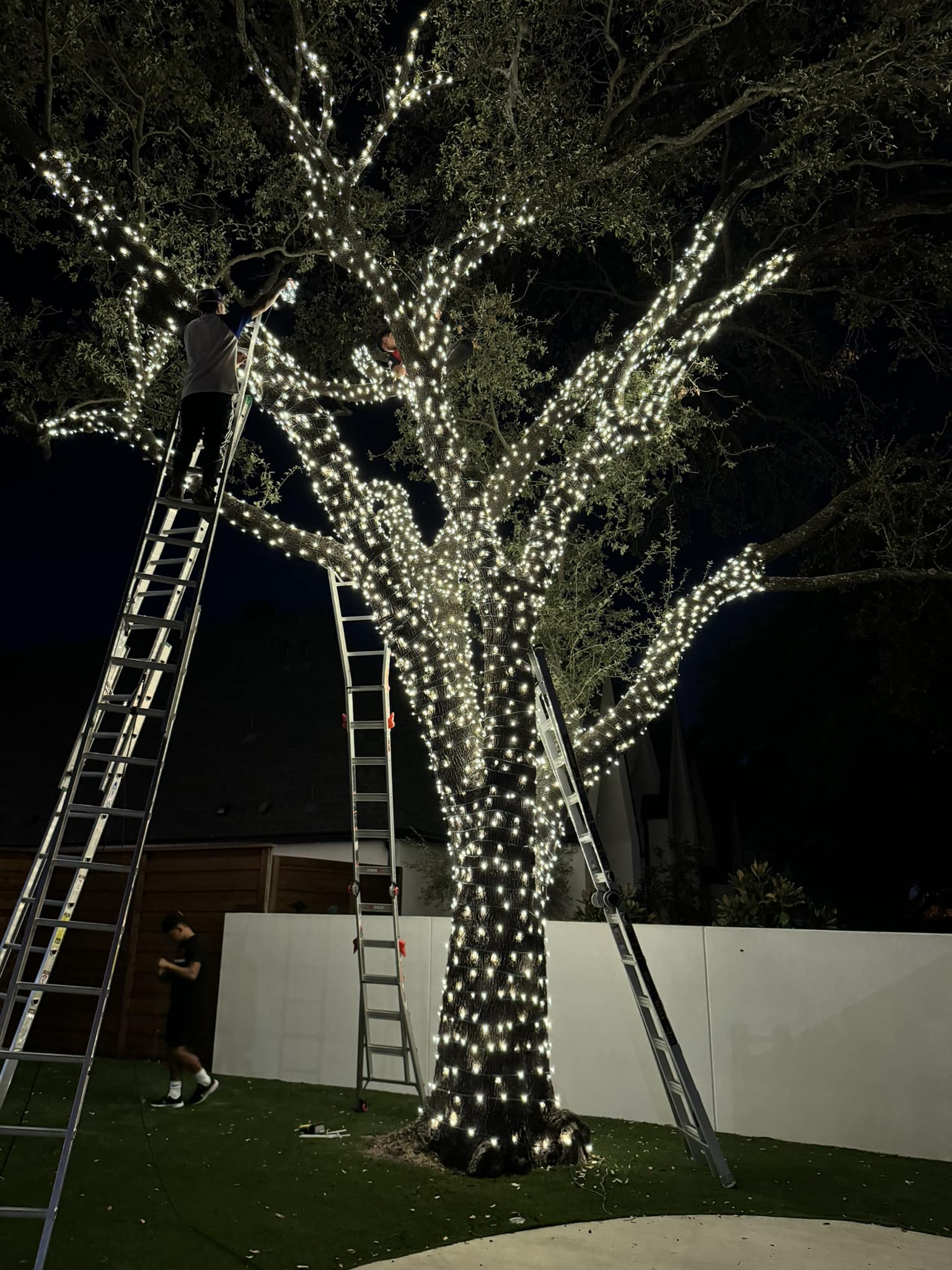 Residential Christmas lighting installation, photo 49 of 114