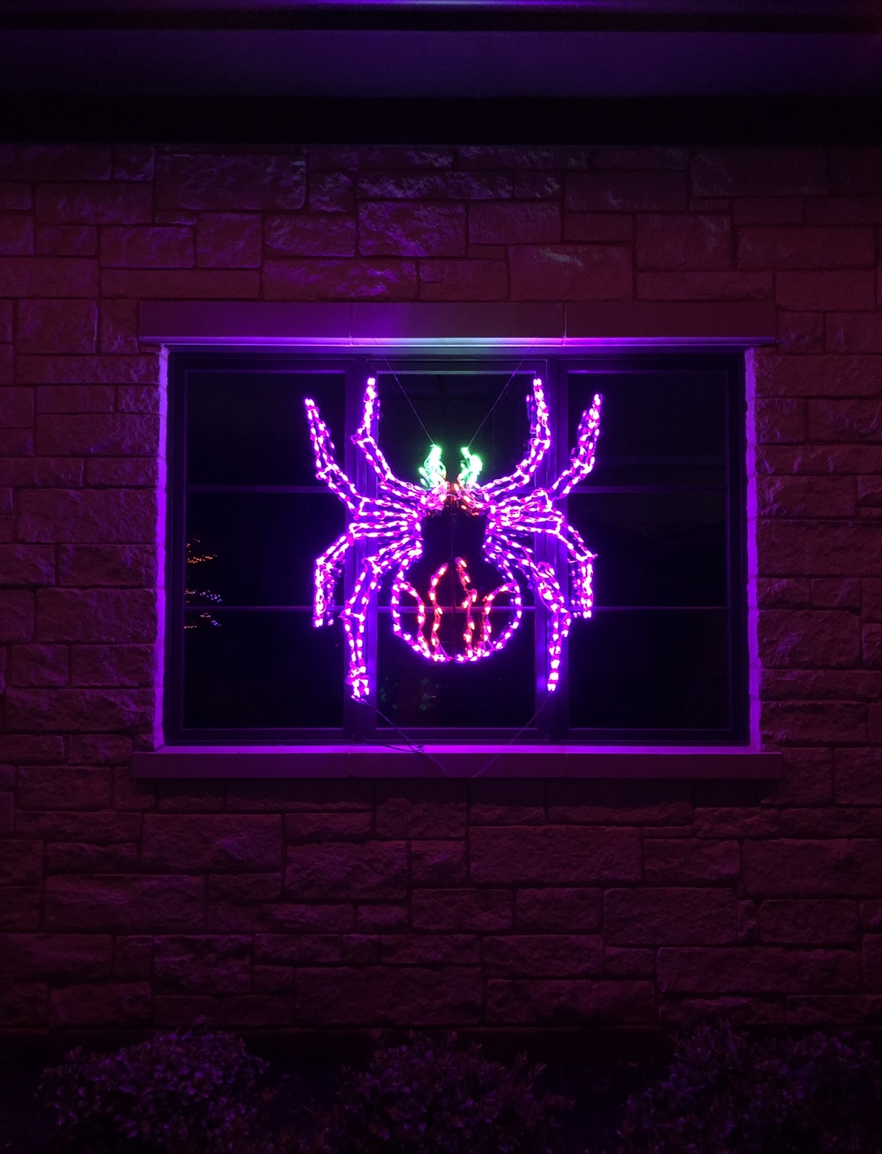 Residential Christmas lighting installation, photo 20 of 114