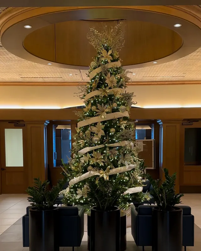 Commercial Christmas lighting installation, photo 36 of 114