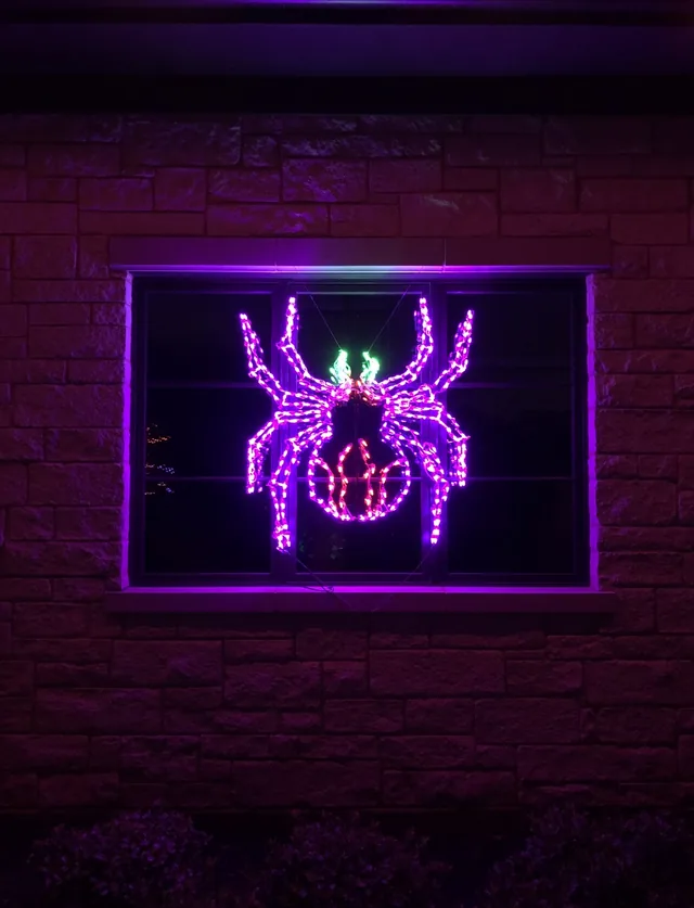 Residential Christmas lighting installation, photo 20 of 114