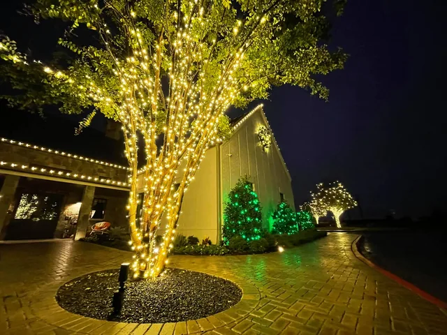 Commercial Christmas lighting installation, photo 9 of 114