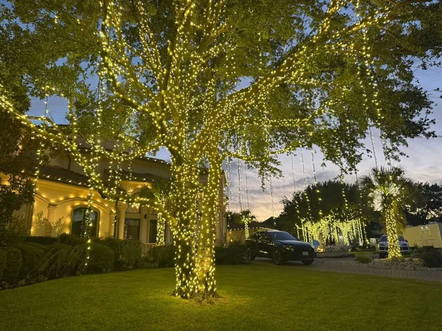 Residential Christmas lighting installation, photo 14 of 114